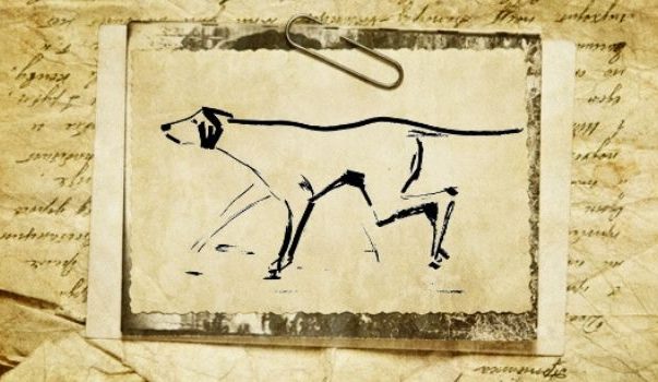 толкование символа в гадании на кофе, воске и во сне