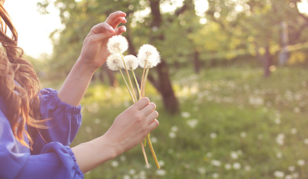 весна, 12 шагов навстречу солнцу
