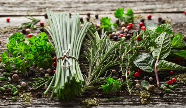 астрология