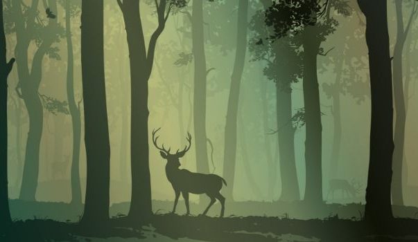 Авестийский гороскоп