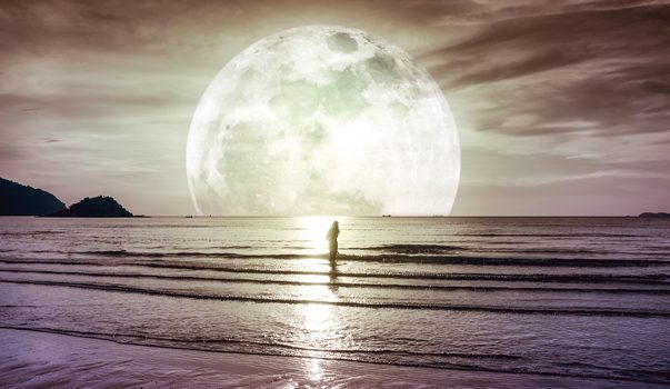 луна без курса