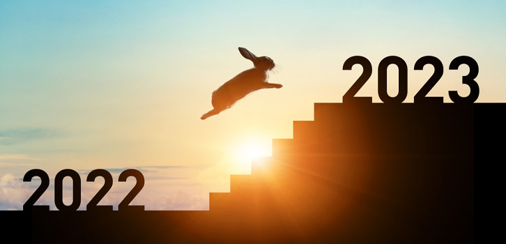 Подробный восточный гороскоп на 2023 год Водяного Кролика